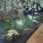 Adriya בית הארחה 4*