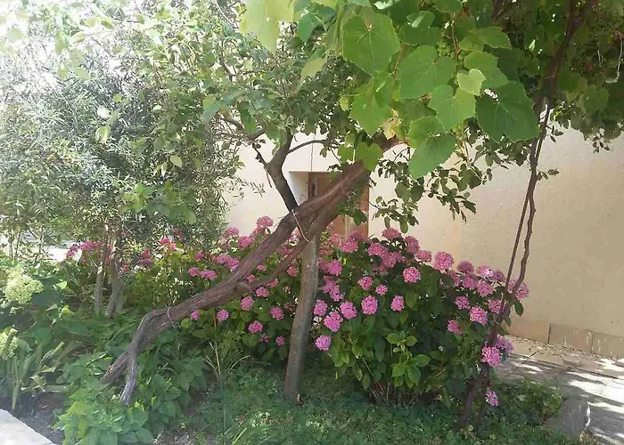 Adriya 4* Πριμόρσκο