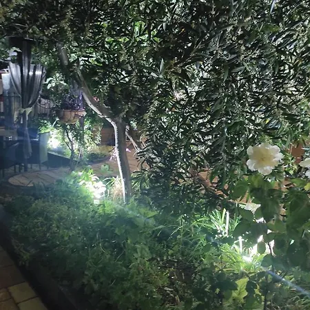 Adriya Affittacamere Primorsko